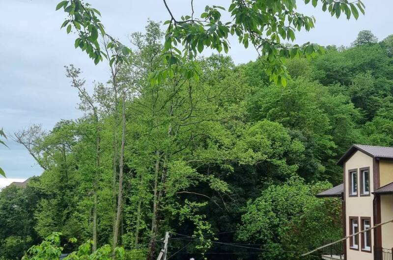 Изображение Изображение гостиницы &quot;Гостевой дом «Новый свет»&quot; #7 #7