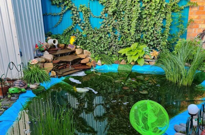 Изображение Изображение гостиницы &quot;Гостевой дом «У Натальи»&quot; #6 #6