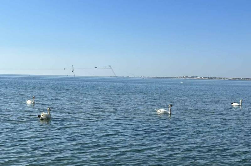 Изображение Изображение гостиницы &quot;Гостевой дом «Dream House»&quot; #2 #2