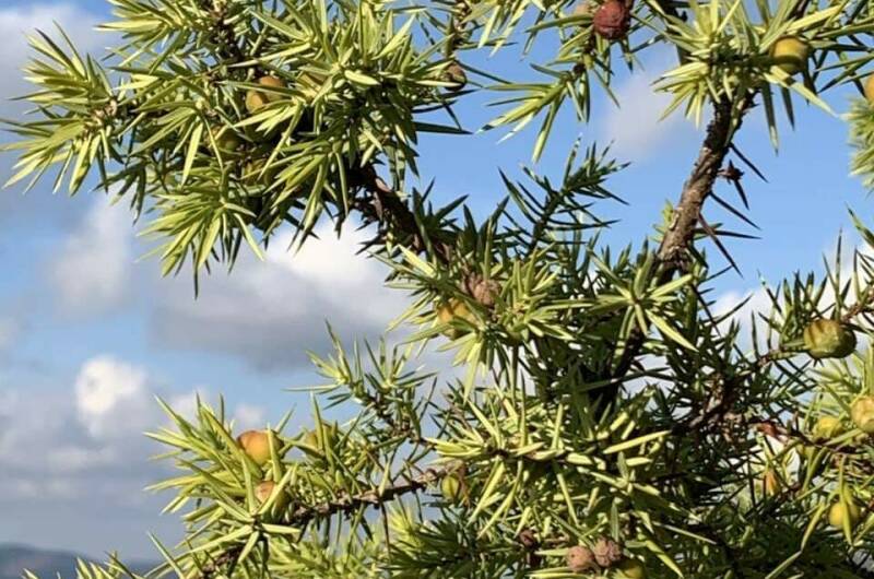 Изображение Изображение гостиницы "Гостевой дом «Краски Черного моря»" #5 #5