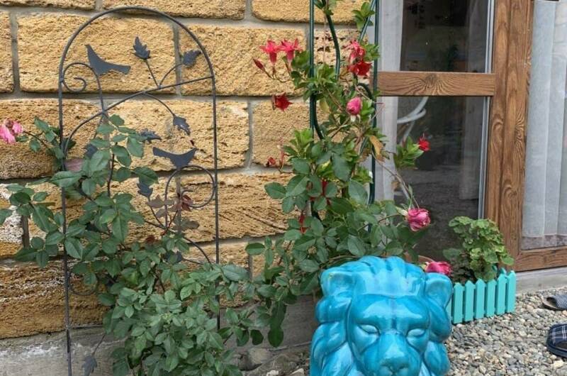 Изображение Изображение гостиницы "Гостевой дом «Краски Черного моря»" #8 #8