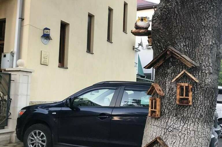 Изображение Изображение гостиницы "Гостевой дом «Золотой Пегас»" #5 #5