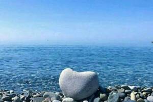 Изображение квартиры "Двухкомнатная квартира"