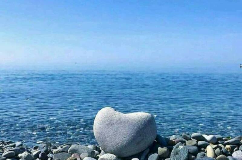 Изображение Изображение квартиры / апартамента "Двухкомнатная квартира" #1 #1