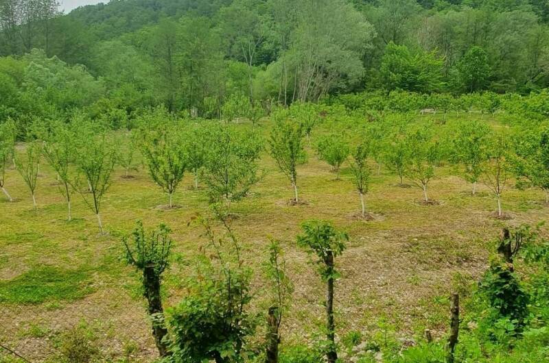 Изображение Изображение квартиры "Коттедж «Эко деревня»" #7 #7