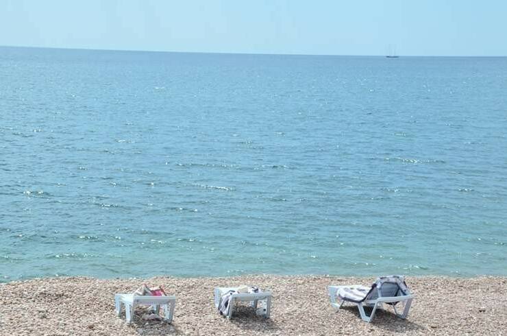 Изображение Изображение гостиницы "Фазенда «Виноград»" #3 #3