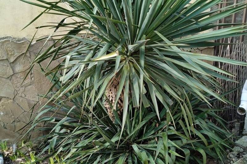 Изображение Изображение гостиницы "Домик «У Аниты»" #6 #6