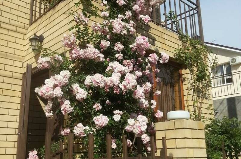 Изображение Изображение гостиницы "Домик «У Аниты»" #7 #7