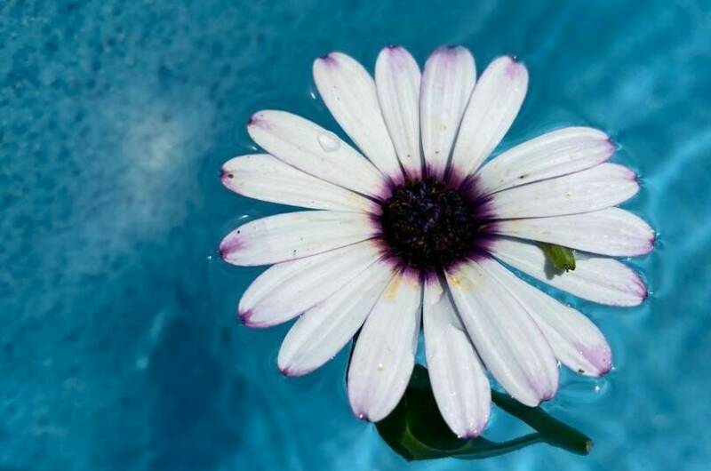 Изображение Изображение гостиницы &quot;Отель «Белая Берёзка»&quot; #3 #3