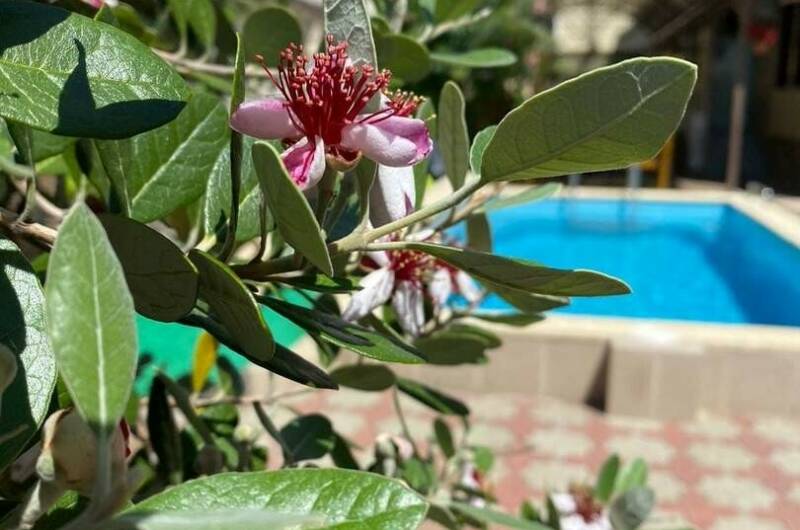 Изображение Изображение гостиницы &quot;Отель «Белая Берёзка»&quot; #7 #7