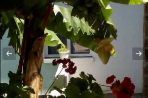 Изображение гостиницы "Гостевой дом «Релакс»"