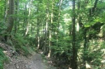 Изображение Изображение гостиницы &quot;Гостевой дом «Релакс»&quot; #3 #3