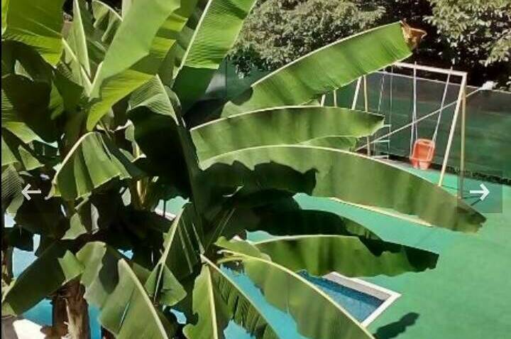 Изображение Изображение гостиницы &quot;Гостевой дом «Релакс»&quot; #5 #5