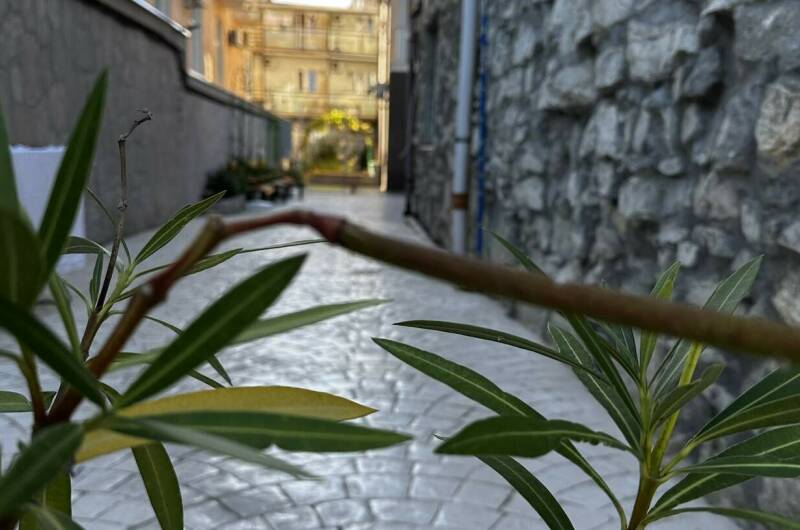 Изображение Изображение гостиницы "Гостевой дом «La villa»" #4 #4