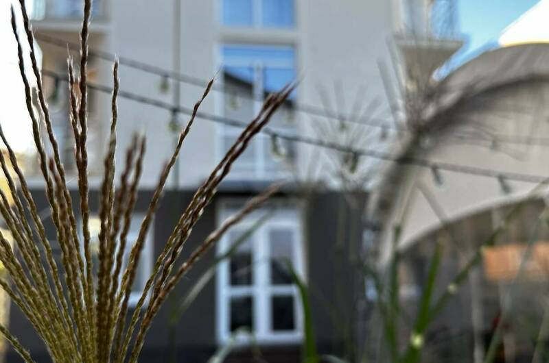 Изображение Изображение гостиницы "Гостевой дом «La villa»" #8 #8