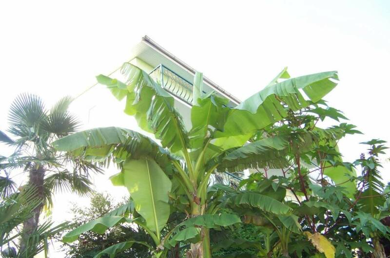 Изображение Изображение гостиницы "Гостевой дом «Анастасия»" #5 #5