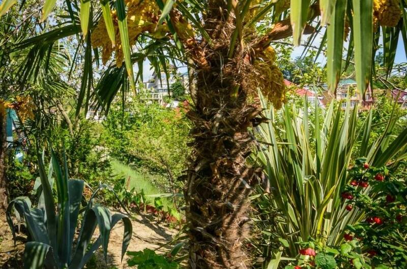 Изображение Изображение гостиницы "Гостевой дом «Анастасия»" #7 #7