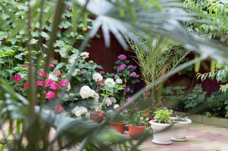 Изображение Изображение гостиницы "Гостевой дом «Старт»" #5 #5