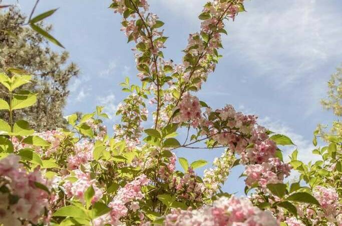 Изображение Изображение гостиницы "Гостевой дом «Солнечный»" #8 #8