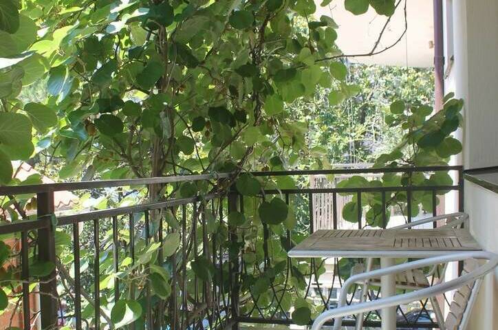 Изображение Изображение гостиницы &quot;Гостиница «Европа»&quot; #3 #3