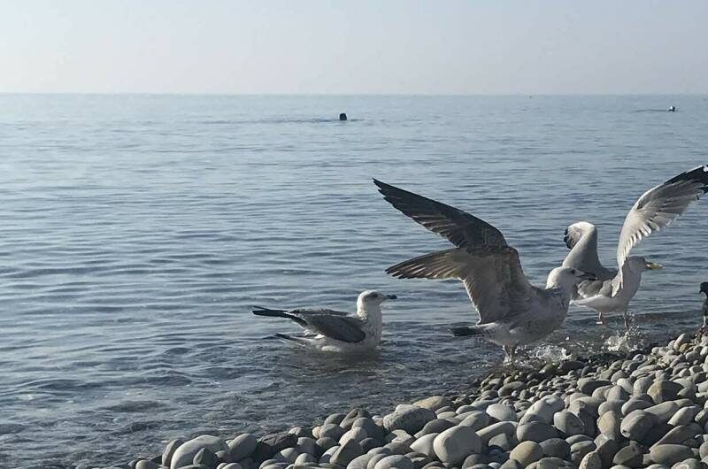 Изображение Изображение гостиницы &quot;Гостиница «Европа»&quot; #7 #7