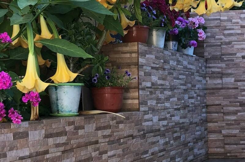 Изображение Изображение гостиницы "Гостевой дом «Виктория плюс»" #2 #2