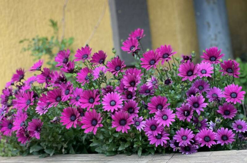 Изображение Изображение отеля / гостиницы "Гостевой дом «Виктория плюс»" #11 #9