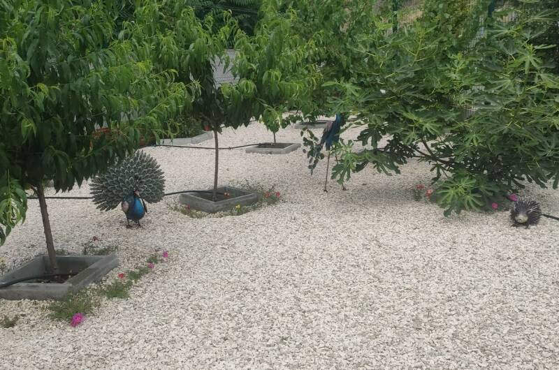 Изображение Изображение гостиницы &quot;Апарт-отель «Баловень судьбы»&quot; #5 #5