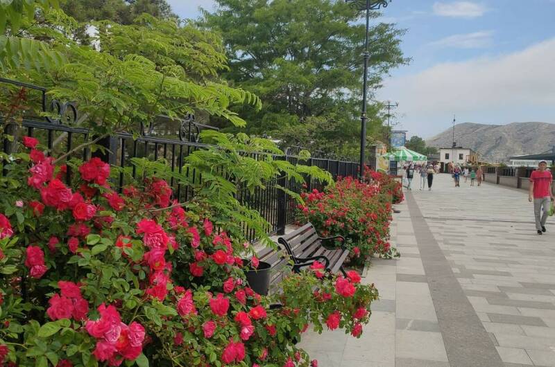 Изображение Изображение отеля / гостиницы "Апарт-отель «Баловень судьбы»" #11 #9