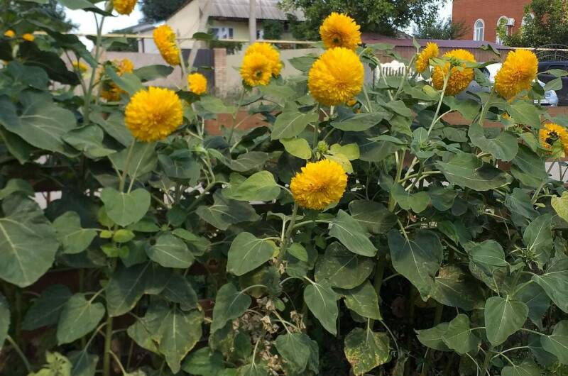 Изображение Изображение гостиницы &quot;Частный дом «Александрит»&quot; #2 #2