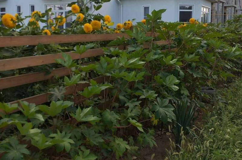 Изображение Изображение гостиницы &quot;Частный дом «Александрит»&quot; #7 #7