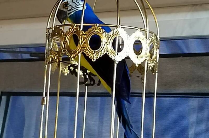 Изображение Изображение гостиницы &quot;Гостевой дом «Комильфо»&quot; #6 #6