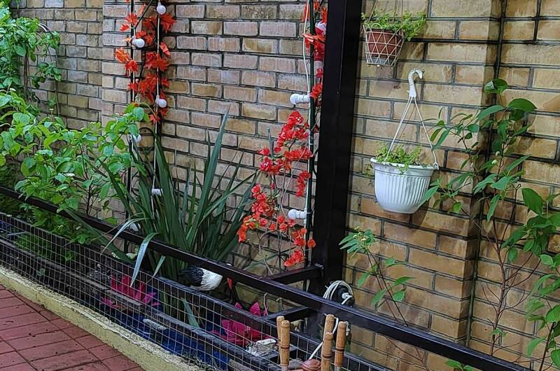 Изображение Изображение гостиницы &quot;Гостевой дом «Комильфо»&quot; #7 #7