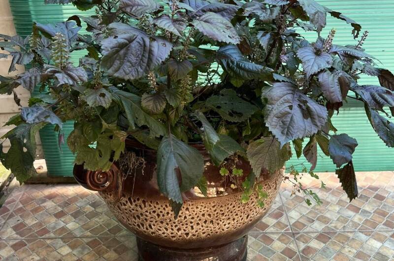 Изображение Изображение гостиницы "Гостевой дом «Делюкс»" #6 #6