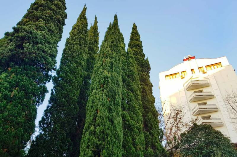 Изображение Изображение квартиры "Апартаменты «Светлана»" #2 #2