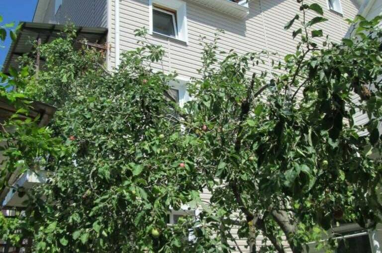 Изображение Изображение отеля / гостиницы "Гостевой дом «Золотой берег»" #11 #9