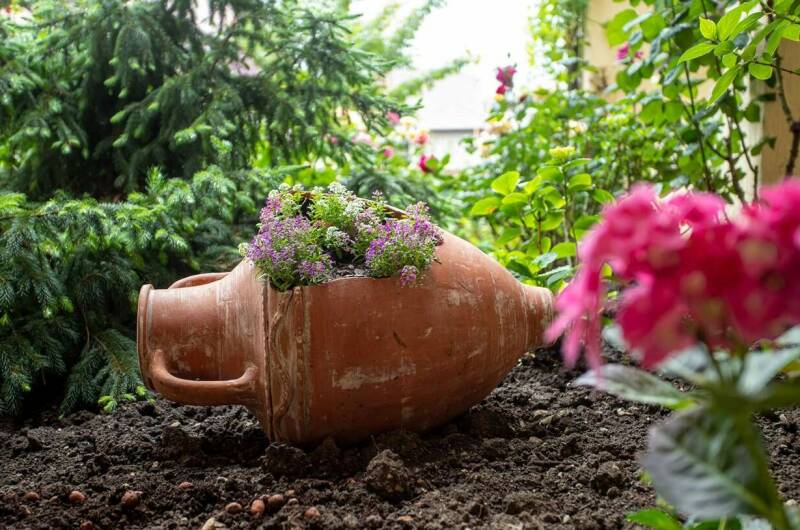 Изображение Изображение гостиницы &quot;Гостевой дом «ВиллаРоза»&quot; #7 #7