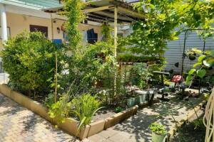 Изображение гостиницы "Гостевой дом «Стебель бамбука»"