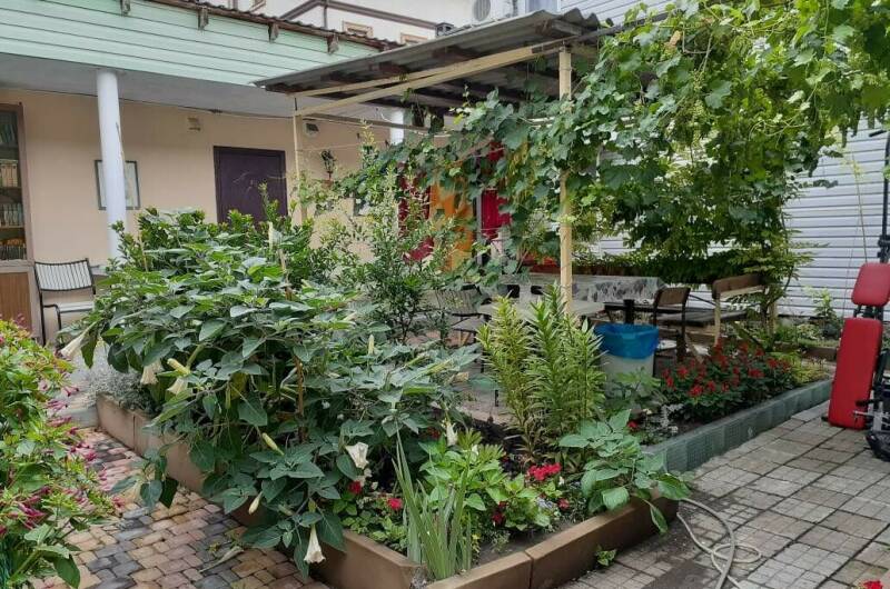 Изображение Изображение отеля / гостиницы "Гостевой дом «Стебель бамбука»" #10 #8