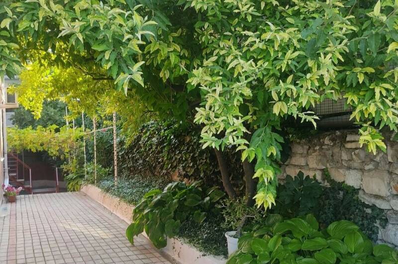 Изображение Изображение гостиницы &quot;Частный сектор «На Кирова 35 В»&quot; #2 #2