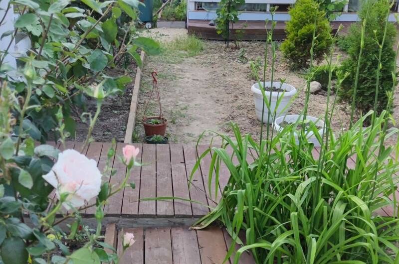 Изображение Изображение гостиницы &quot;Гостевой дом «Зелёная Дача»&quot; #6 #6