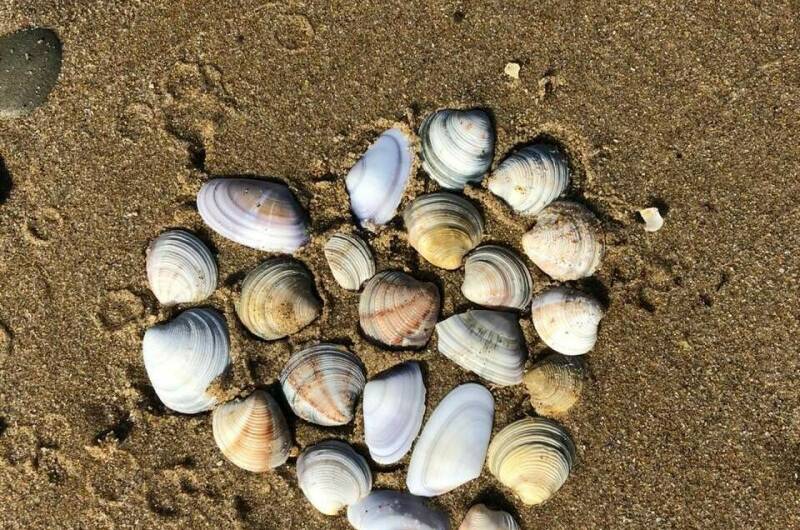 Изображение Изображение гостиницы "Гостевой дом «У Наталии»" #3 #3