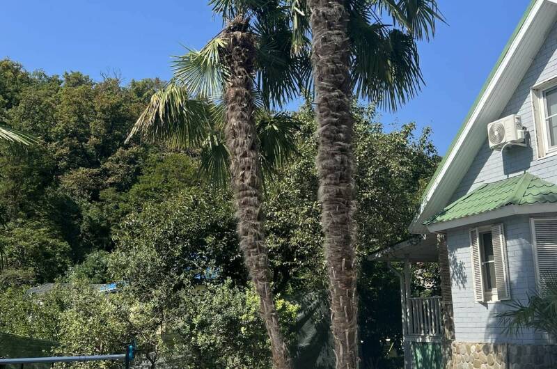 Изображение Изображение квартиры "Коттедж «SeaHorse_Village»" #3 #3