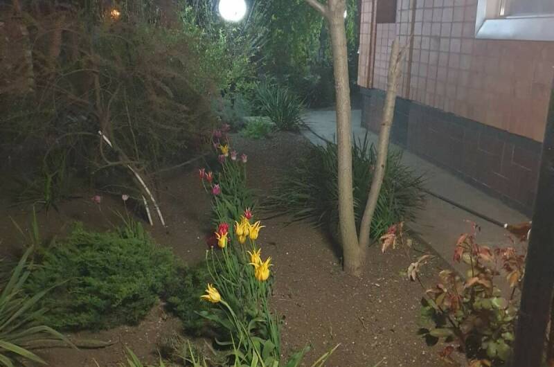 Изображение Изображение гостиницы "Частный дом на Пролетарской" #6 #6