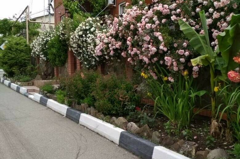 Изображение Изображение гостиницы "Гостиный дворик «Шанталь»" #1 #1