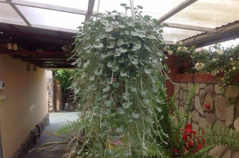 Изображение Изображение отеля / гостиницы "Гостиный дворик «Шанталь»" #10 #8