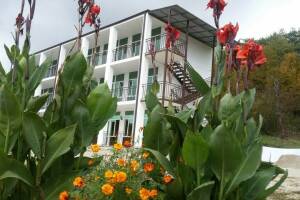 Изображение гостиницы "Гостевой дом «Мечта»"