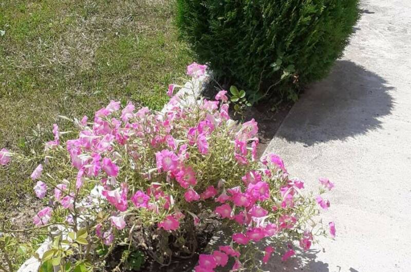 Изображение Изображение гостиницы "Гостевой дом «Мечта»" #2 #2