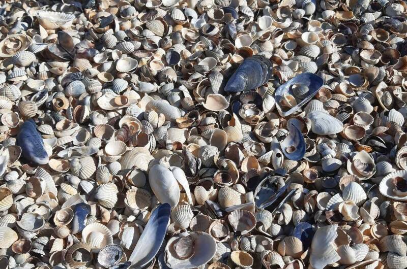 Изображение Изображение гостиницы "Частный сектор «Коса Должанская»" #5 #5