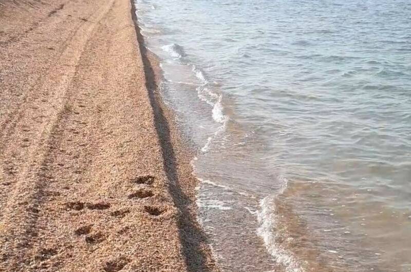 Изображение Изображение гостиницы "Частный сектор «Коса Должанская»" #7 #7